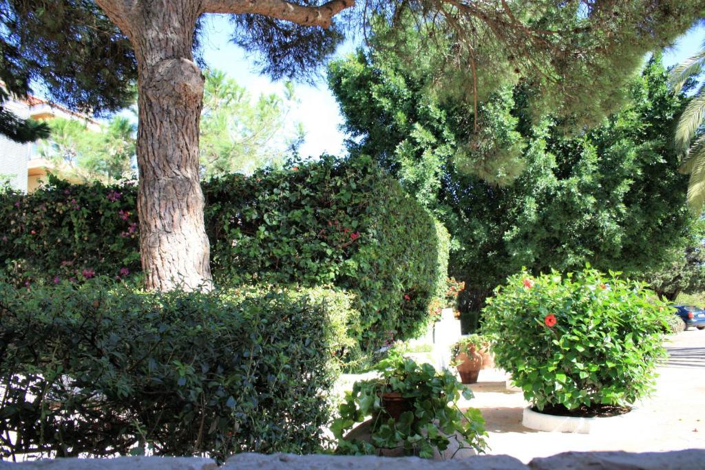 Quinta Da Ameijeira Лагос Екстериор снимка